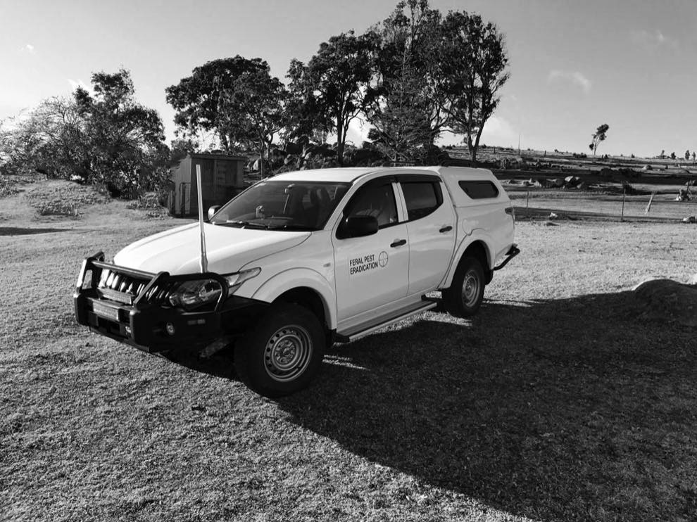 Feral Pest Eradication Queensland FERAL PEST CONTROL WILD DOG
